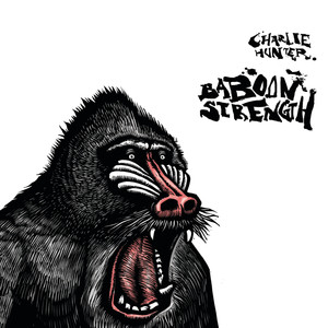 Baboon Strength album