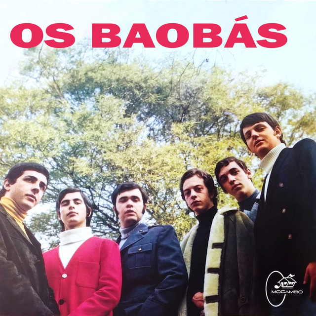 Os Baobás Photo