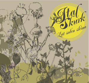 Låt solen skina cover
