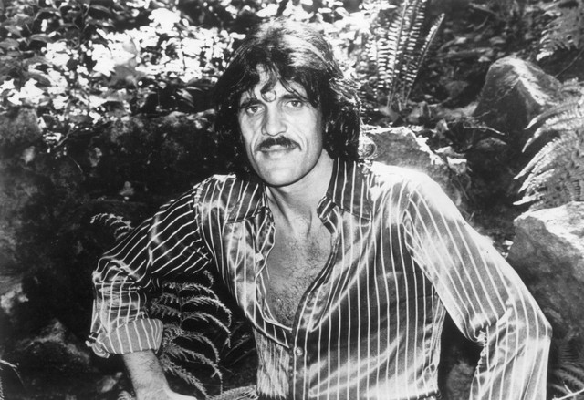 Jim Capaldi photo