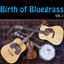 Birth of Bluegrass, Vol. 2 cover