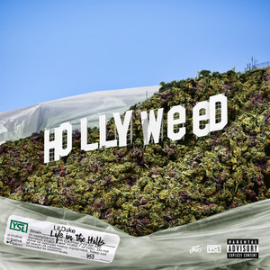 Life in the Hills album