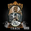 Crack cover
