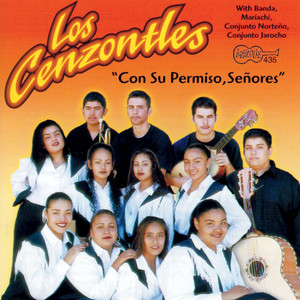 Con Su Permiso, Senores album