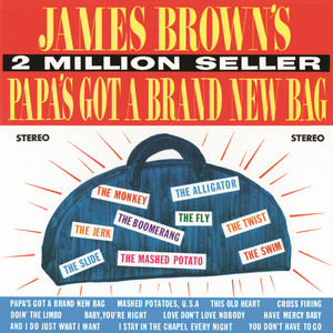 Papa's Got A Brand New Bag cover