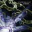 Evolution cover
