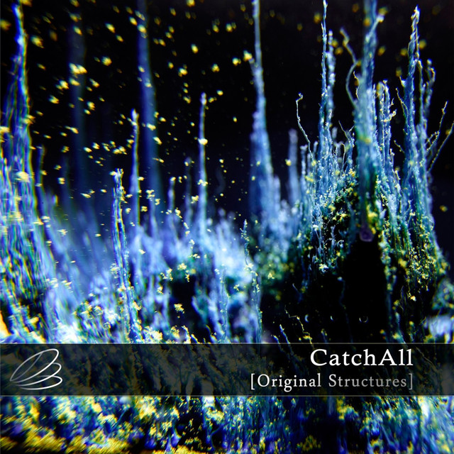 CatchAll Photo