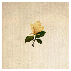 The Grand Magnolias cover