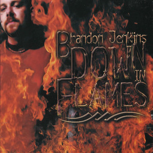 Down In Flames cover