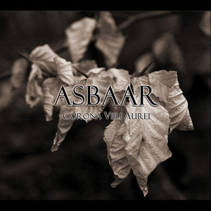 Asbaar photo