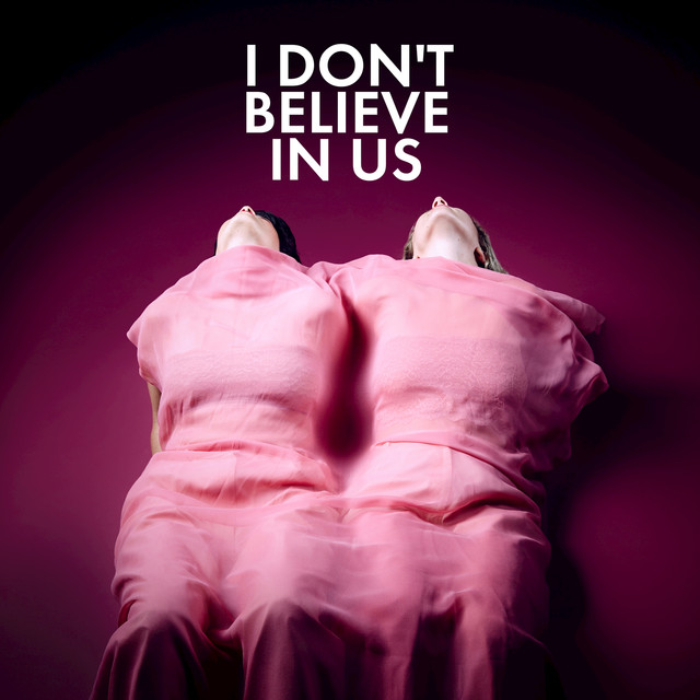 I Don't Believe In Us cover