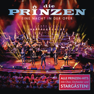Eine Nacht in der Oper cover
