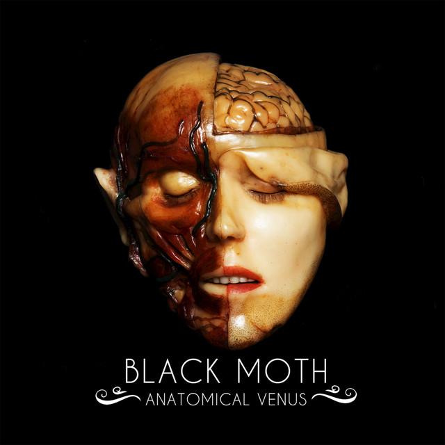 Anatomical Venus cover