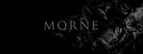 Morne Photo