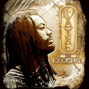 Book of Life cover