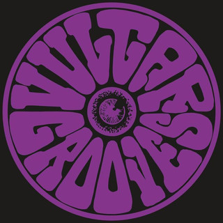 Vulgar Grooves Photo
