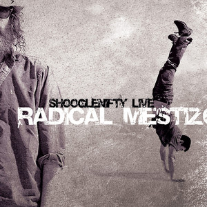Radical Mestizo cover