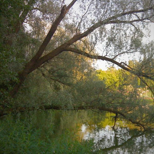 Selected Ambient Dub Works 06-09 cover