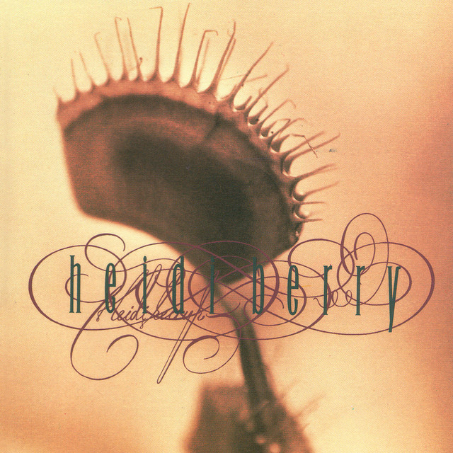 Heidi Berry cover