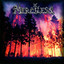 Merciless cover