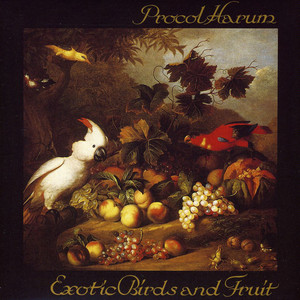 Exotic Birds and Fruit cover