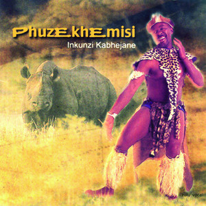 Inkunzi Kabhejane album