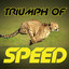 Triumph of Speed Albumcover