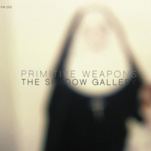 The Shadow Gallery Albumcover