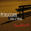 Flashback cover