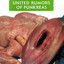United Rumors Of Punkreas Albumcover