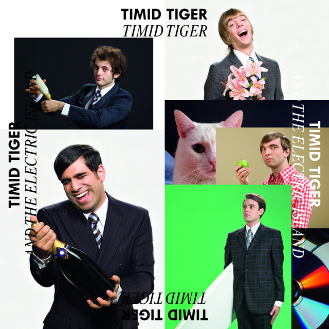 Timid Tiger And The Electric Island cover