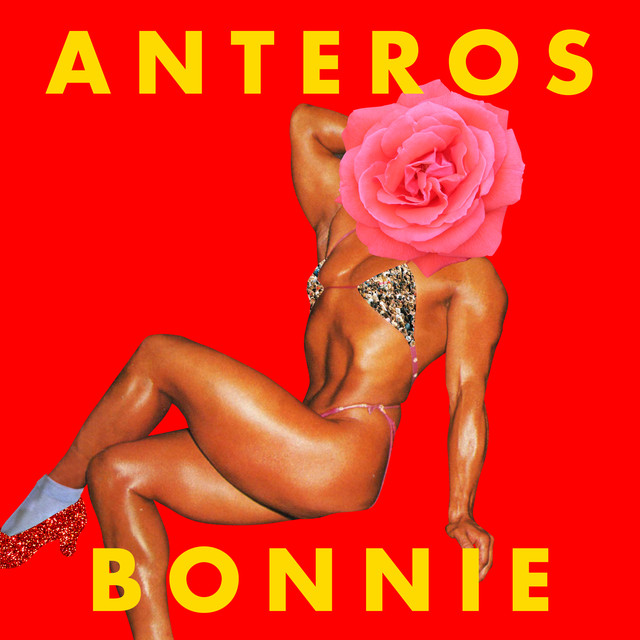 Bonnie cover