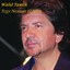Tegy Neasem El Amer Albumcover