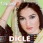 Türkülerle Albumcover