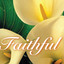 Faithful Albumcover