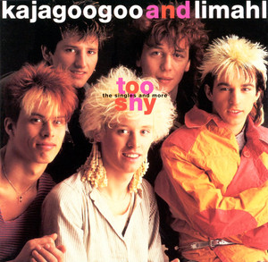 Too Shy: The Singles and More album