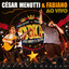 Voz Do Coração cover