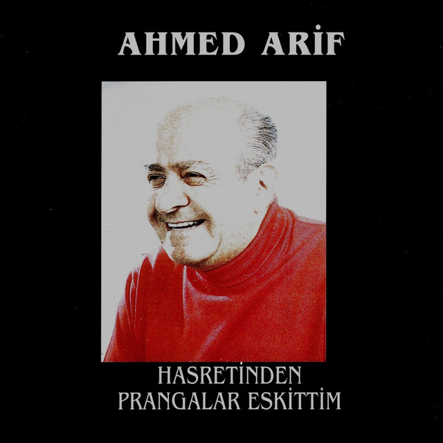 Ahmed Arif Photo