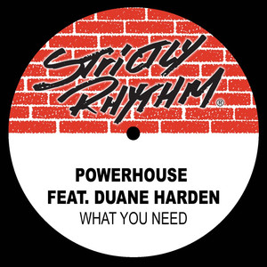 What You Need (feat. Duane Harden) album
