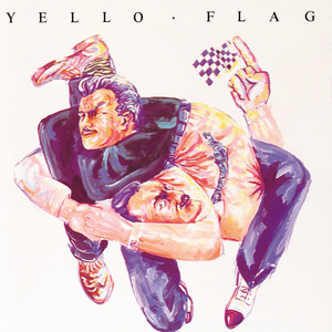 Flag cover