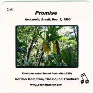 Promise cover
