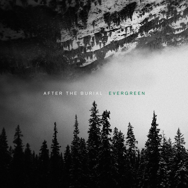 Behold The Crown cover