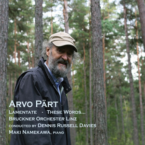 Lamentate cover