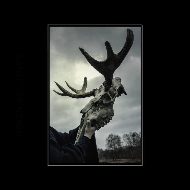 Sanne de Neige Photo