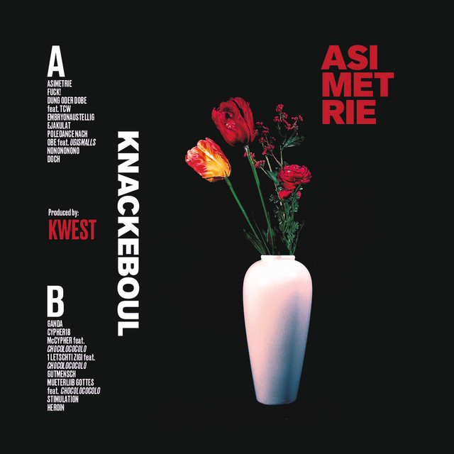 Musik Album 'Asimetrie'