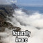 Naturally Aware cover