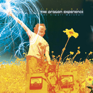 The Dragon Experience cover