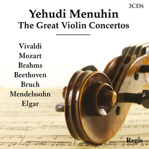 Violin Concerto in B Minor, Op. 3 No. 10, RV. 580: I. Allegro cover