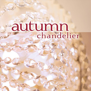 Chandelier cover