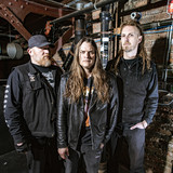 Jungle Rot